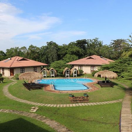 Hibiscus Garden Hotel Tissamaharama Buitenkant foto