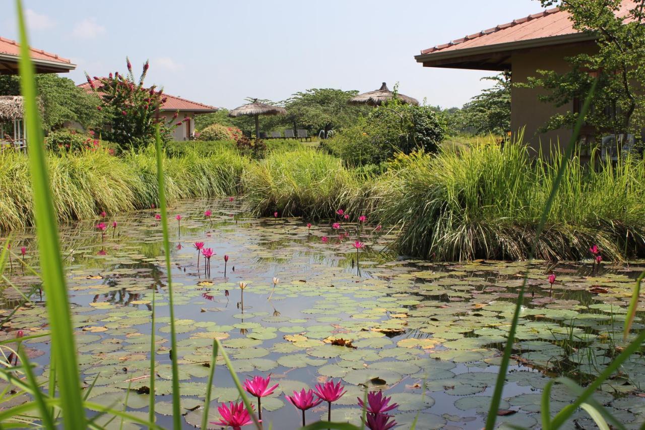 Hibiscus Garden Hotel Tissamaharama Buitenkant foto