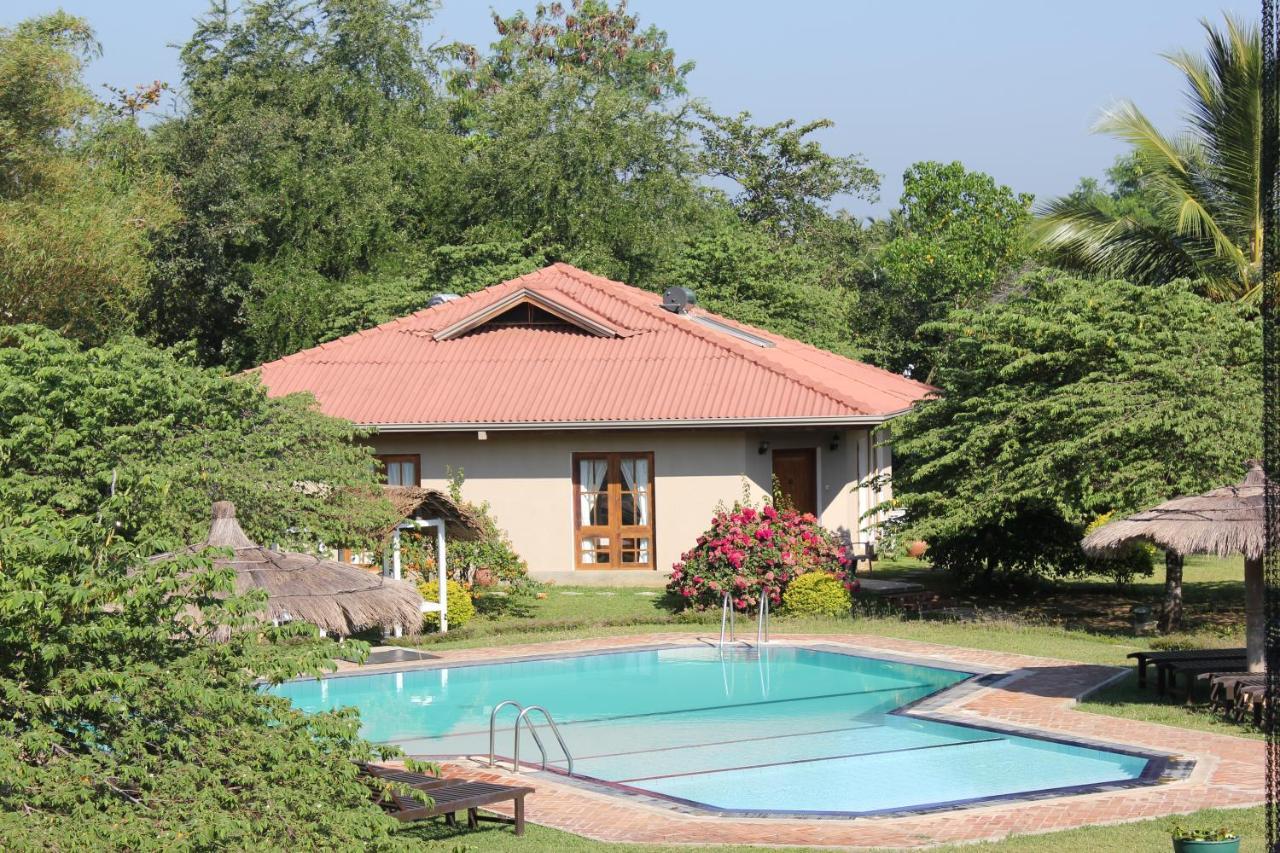 Hibiscus Garden Hotel Tissamaharama Buitenkant foto