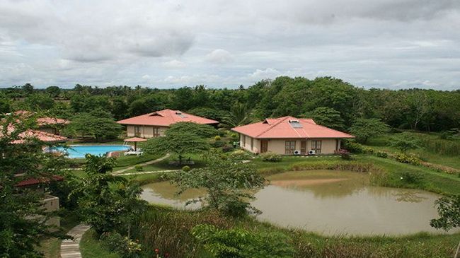 Hibiscus Garden Hotel Tissamaharama Buitenkant foto