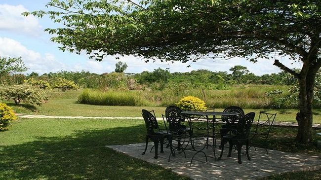 Hibiscus Garden Hotel Tissamaharama Voorzieningen foto
