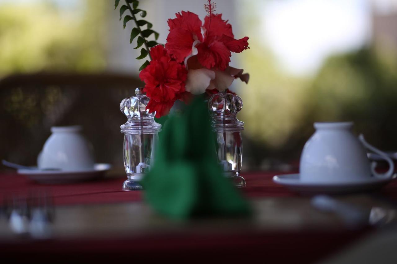 Hibiscus Garden Hotel Tissamaharama Buitenkant foto