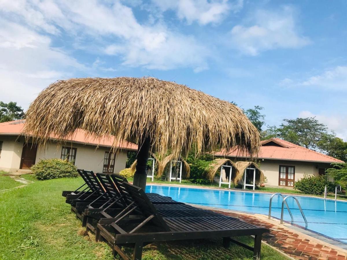 Hibiscus Garden Hotel Tissamaharama Buitenkant foto