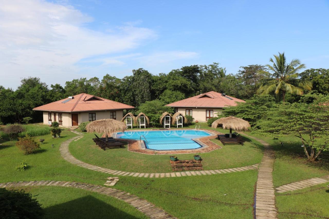 Hibiscus Garden Hotel Tissamaharama Buitenkant foto