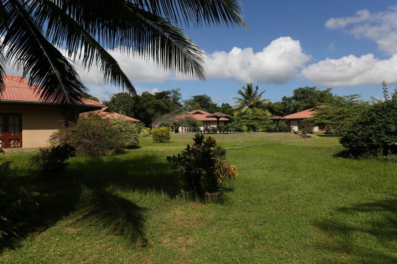 Hibiscus Garden Hotel Tissamaharama Buitenkant foto
